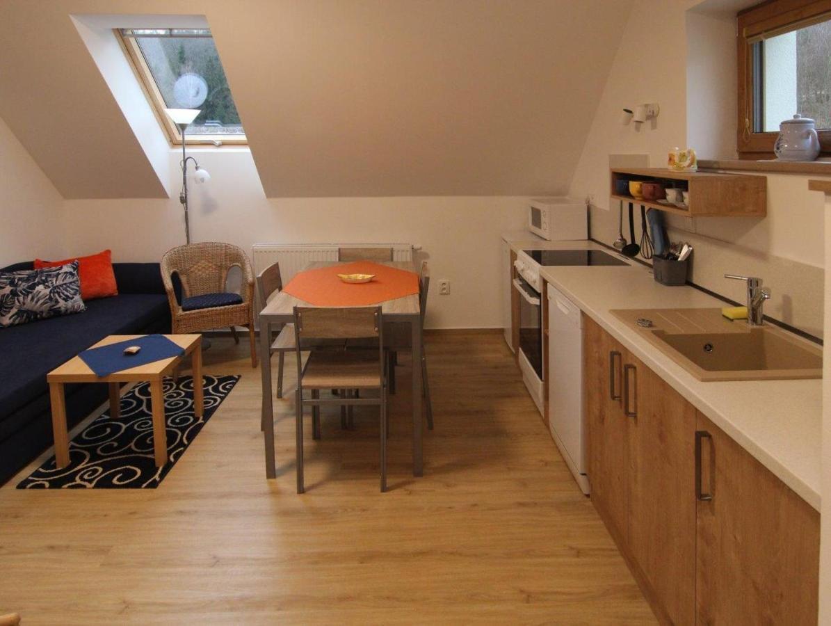 Apartma Jablonec ヤブロネツ・ナド・ニソウ エクステリア 写真
