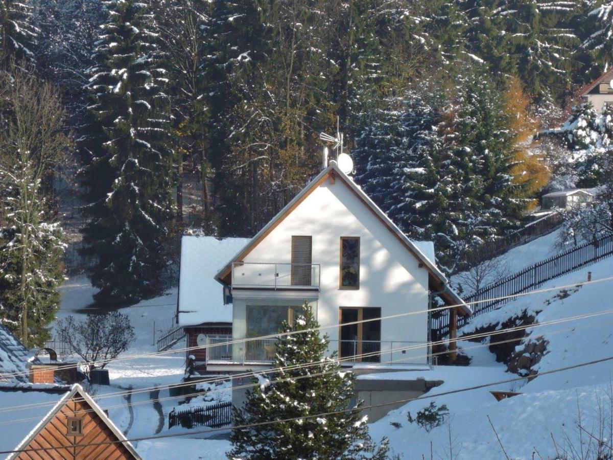 Apartma Jablonec ヤブロネツ・ナド・ニソウ エクステリア 写真